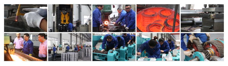 6.5tpd Guangxin Yzyx120 Screw Press Rapeseed Oil Production