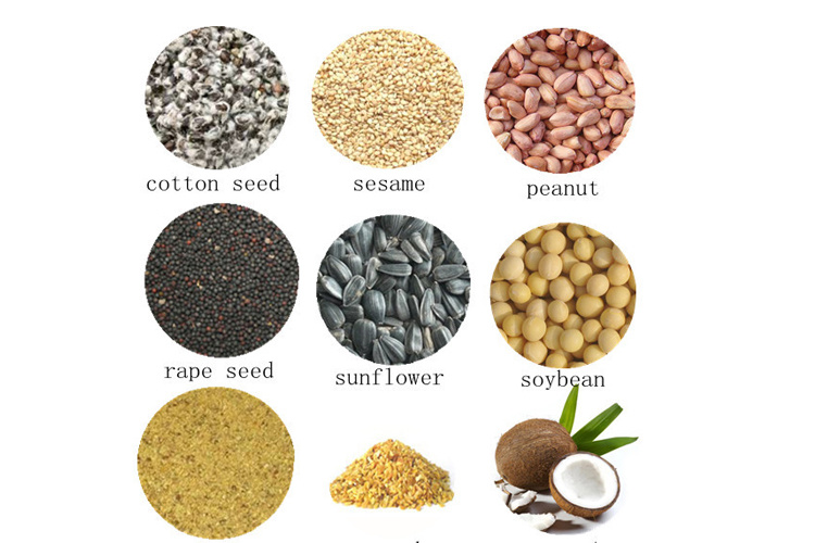 Oil Extraction Sunflower Oil Press Rice Bran Oil Making Machine