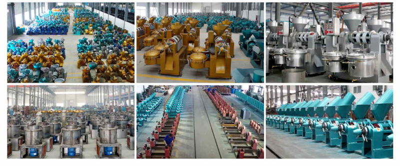 Factory Price Sunflower Oil Press Machine 130 Series Guangxin Oil Machine
