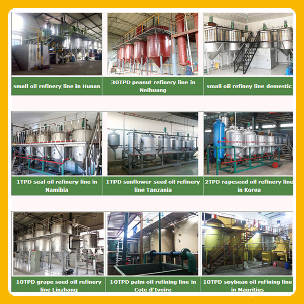 Agricultural Machinery Mini Oil Refinery Palm Oil Refining Machinery