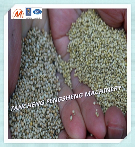 6n40 Small Rice Polishing Machine Rice Mill