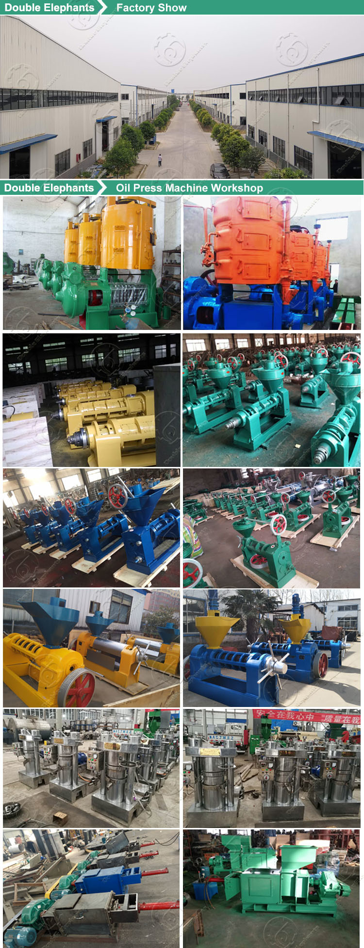 Peanut Copra Oil Pressing Machine Soybean Rice Bran Oil Production Line