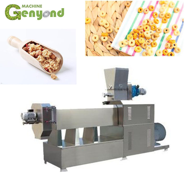 Fried Snacks Packaging/Processing Machine