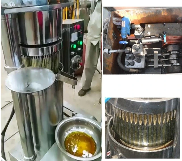 Small Cocoa Butter Hydraulic Oil Press Sesame Hydraulic Oil Presser