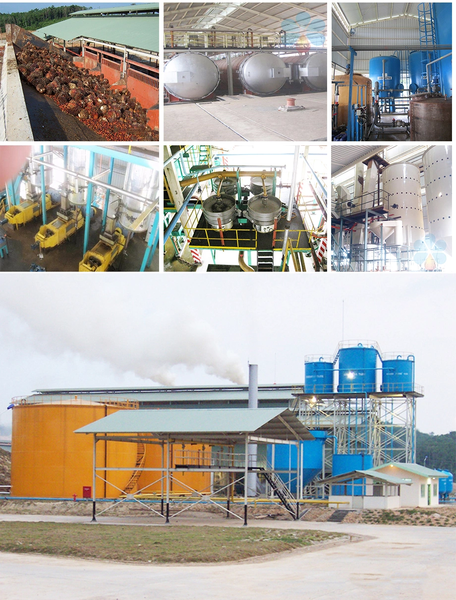 Crude Palm Oil Making Machine /Palm Oil Extracting Machine /Palm Oil Processing Machine