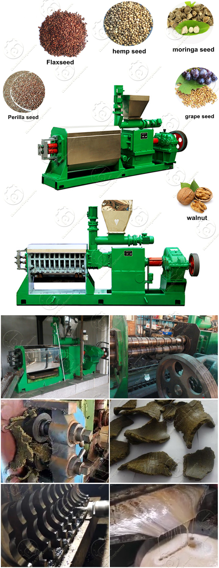Cold-Pressed Oil Extraction Machine for Oil Seed Price