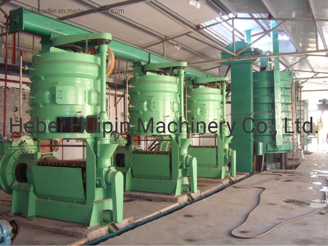 Peppermint Seed Oil Press Machine Oilseed Pressing Machine