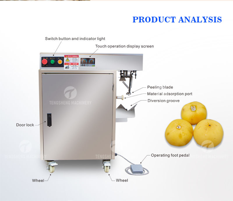 Commercial Stainless Steel Persimmon Fruit Peeling Machine Food Processor (TS-P18S)