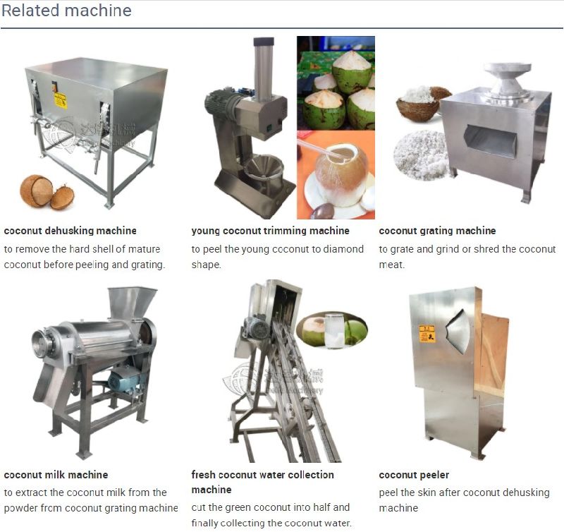 Coconut Shredding Machine Coconut Powder Machine Coconut Grater Machine