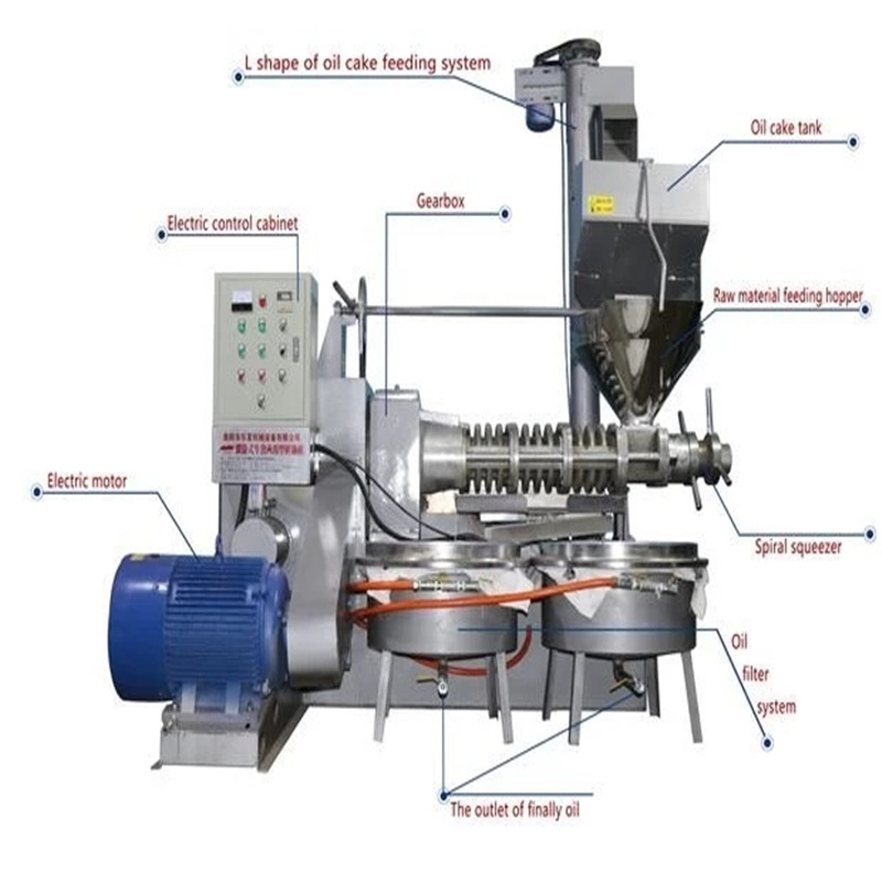 2021 New Big Peanut Oil Press Sesame Oil Extraction Machine
