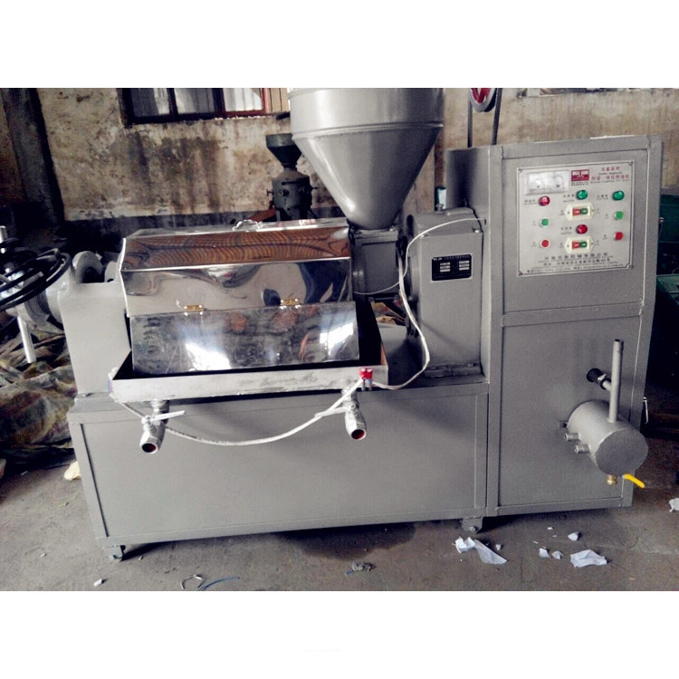 Canarium Kernels Oil Extraction Machine Palm Kernel Screw Oil Press Machine with Oil Filter