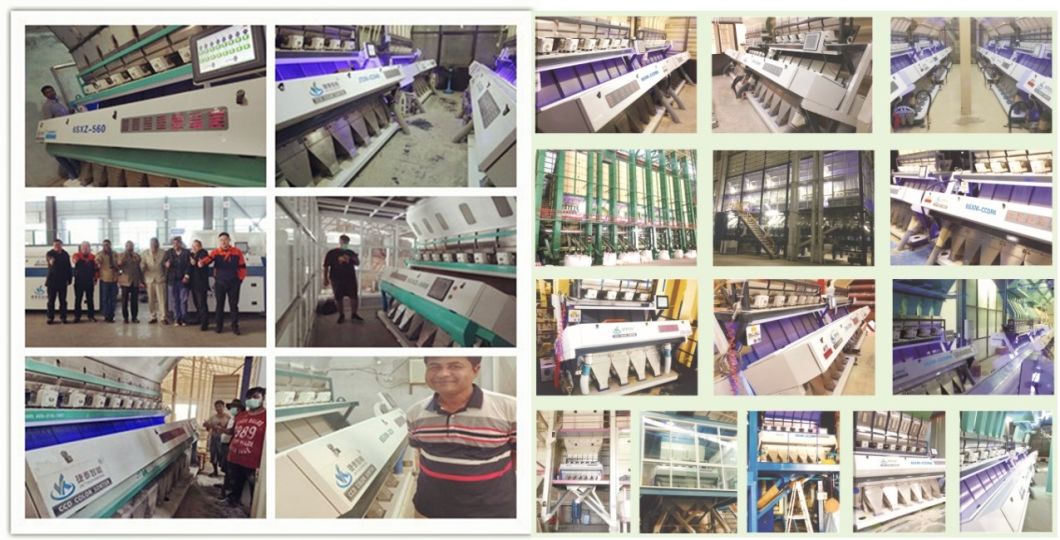 Stable Quality 8 Chutes Parboiled Rice Sorting Machine Rice Processing Machinery