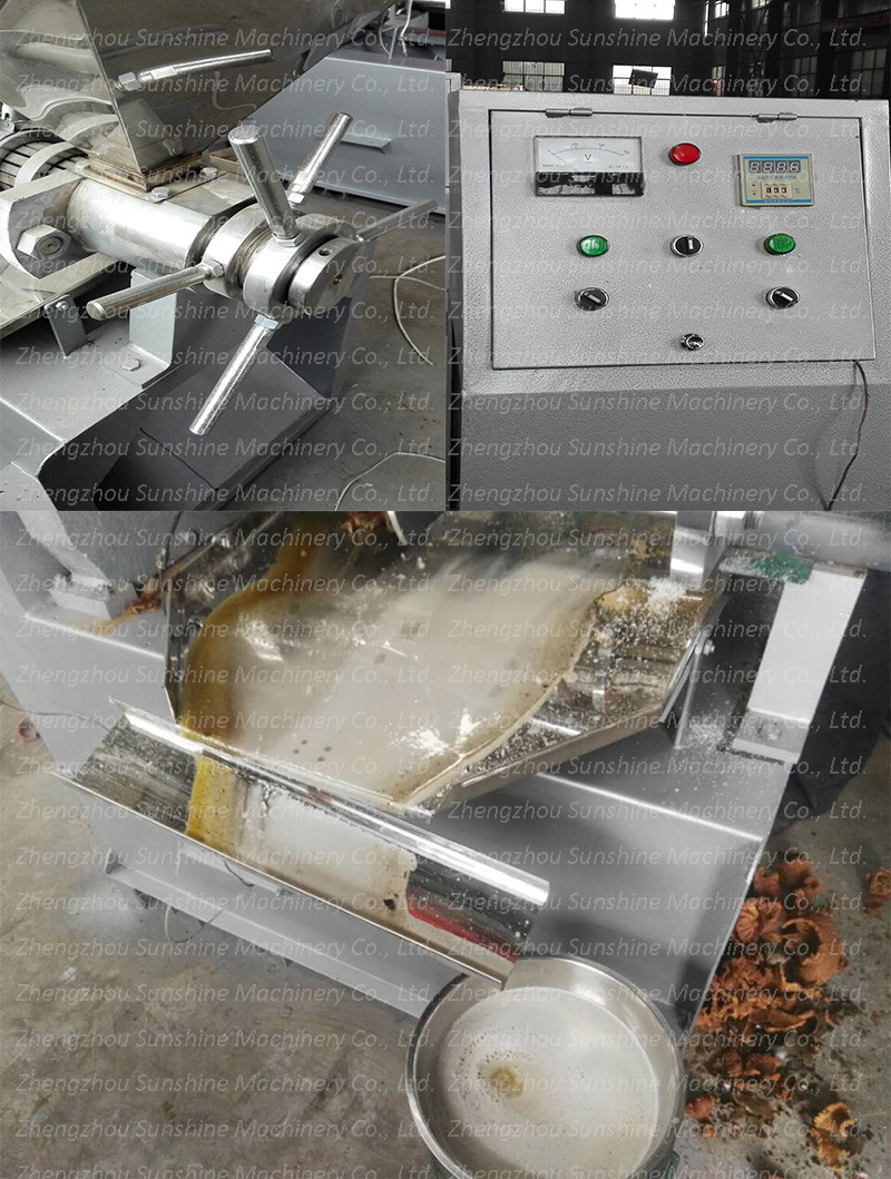 Automatic Oil Press Moringa Seed Oil Extraction Machine