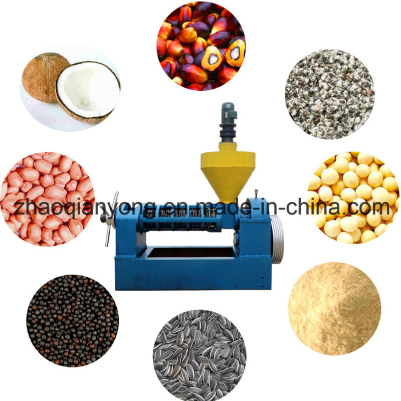 Best Selling Rice Bran, Rapeseed Cooking Oil Pressing Machine