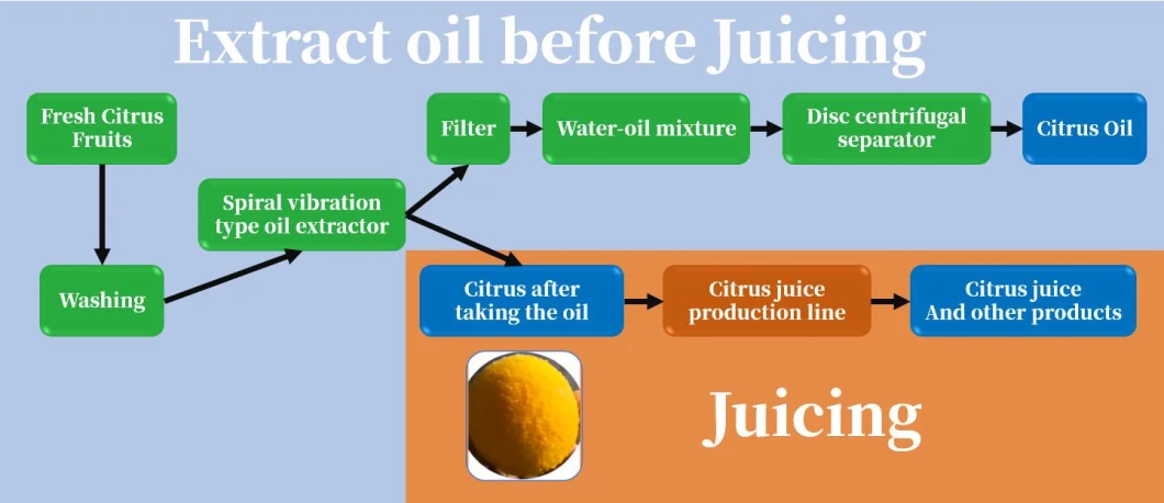 Flourish Orange Essential Oil Extraction Equipment and Lemon Oil Extraction Machine