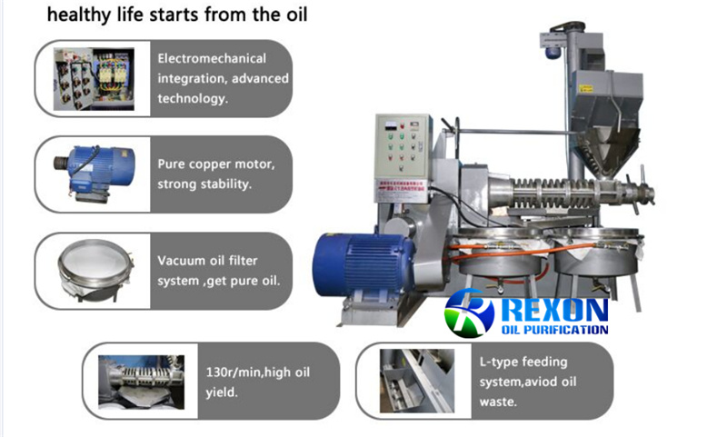 Spiral Oil Press Machine Coconut Oil Presser Vegetable Oil Presses