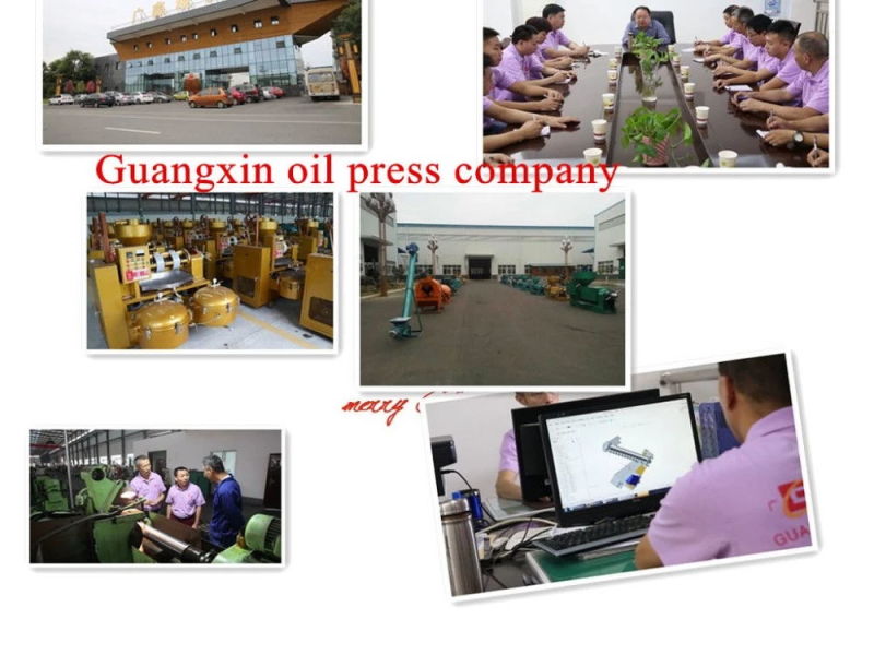 Guangxin 1.3tpd Oil Press Machine Rapeseed Oil Expeller