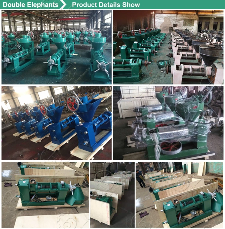 Sunflower Penut Seed Oil Extruder Coconut Oil Expeller Press Machine Screw Price