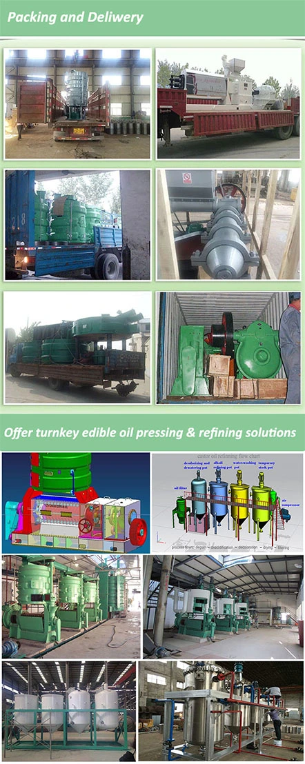 Automatic Coconut Oil Processing Machine Mustard Oil Expeller Rice Bran Oil Press Machine