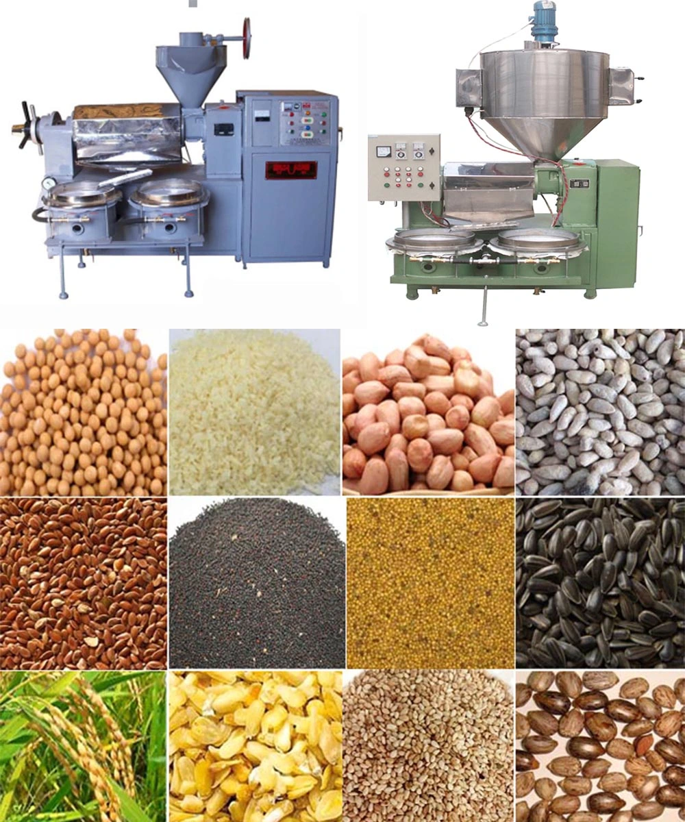 High Capacity Coconut Oil Extraction Cooking Oil Making Machine Hemp Seeds Oil Machine with Filter Machine