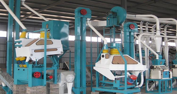 Produce Kenya Super Maize Meal of 30t/24h Maize Milling Machinery