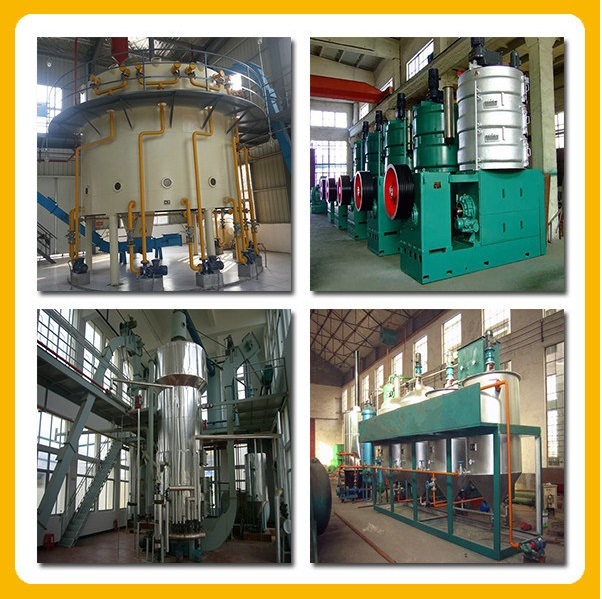 High Performance Rice Bran Cooking Oil Press Equipment