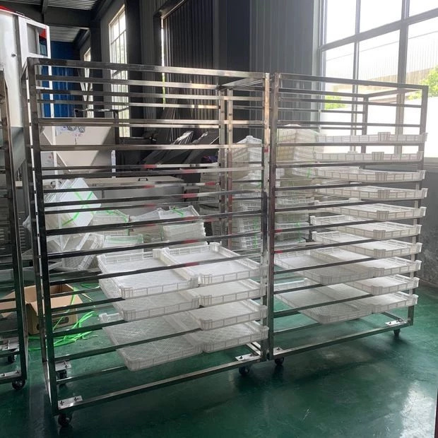 Hot Air Heat Pump Tray Vegetables Fruits Grapefruit Pomelo Dryer