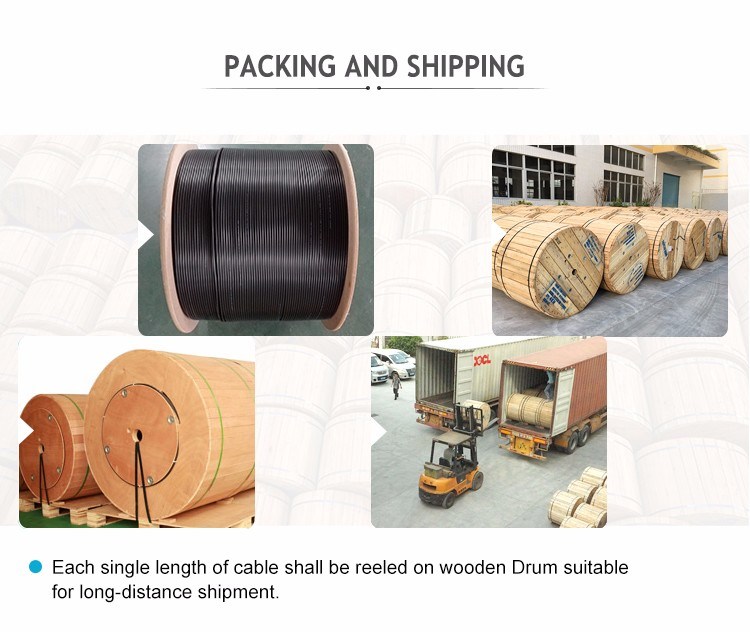 Singlemode and Multimode Outdoor Duct Optical Cable of Jelly Filled Loose Tube