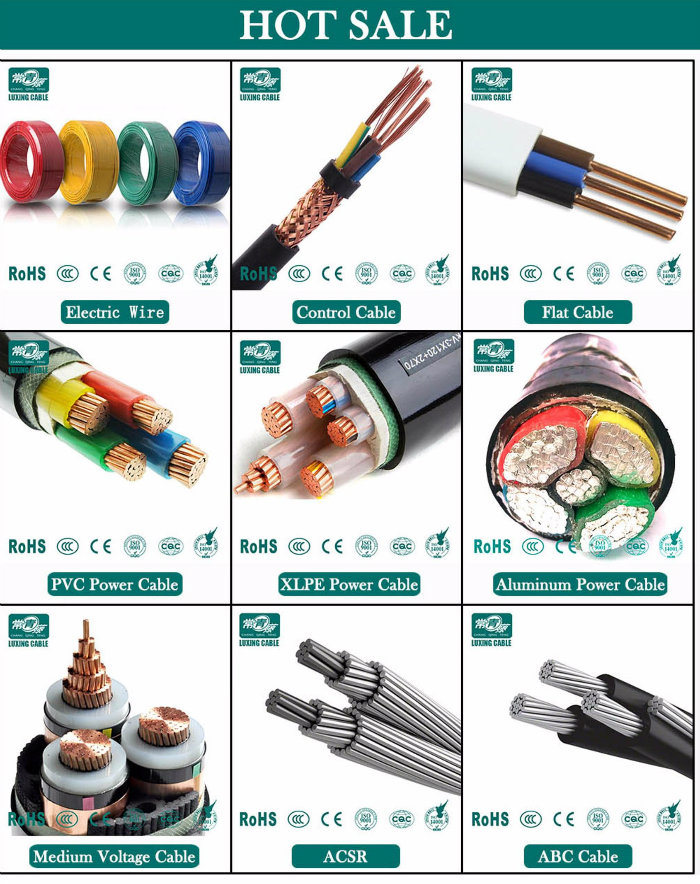 Electrical Flexible Cable Wire 10mm with Copper Core PVC Insulated