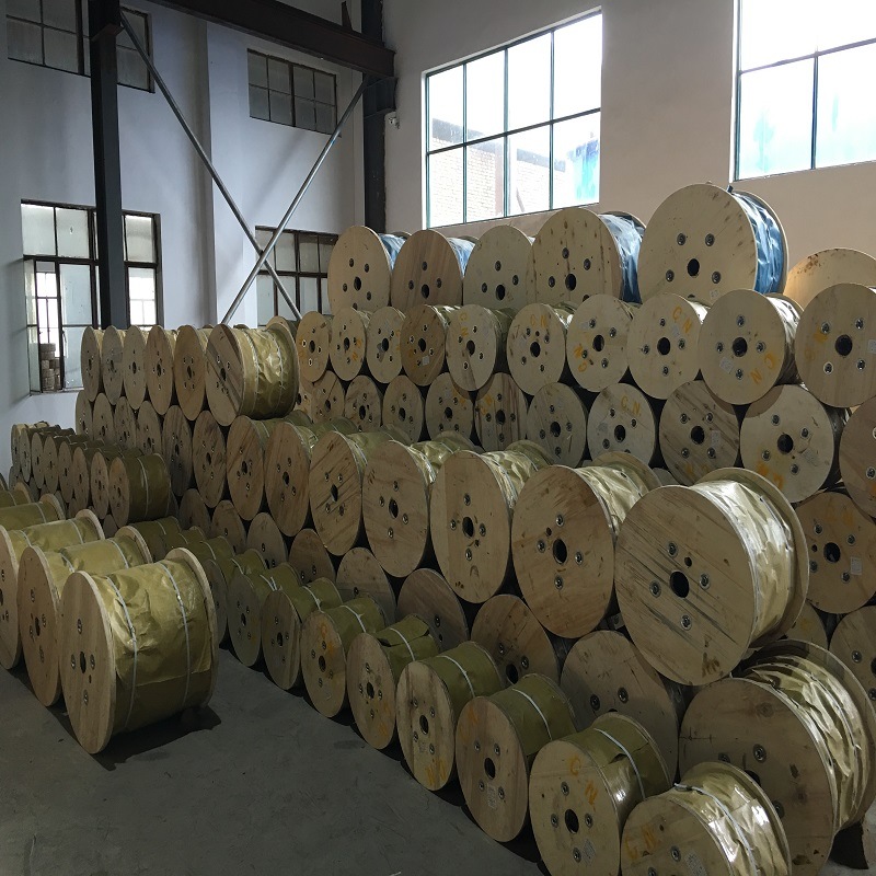 High Tensile Strength Galvanized Spring Steel Wire for Flexible Ducts