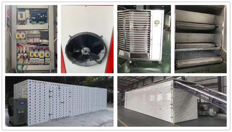 Vertical Hot Air Circulation Tray Dryer Machine