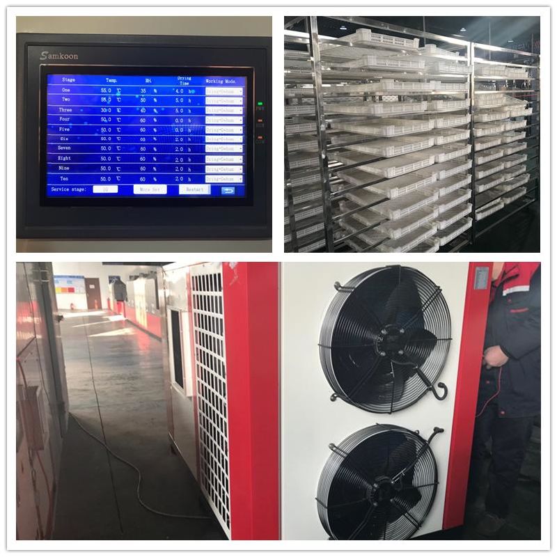 2t Industrial Strawberry Drying Machine Hot Air Dryer