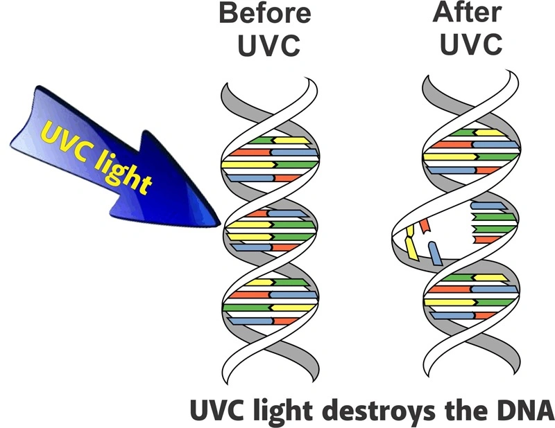 UV-UVC-UV-Lampe mit keimtötenden Ozon Sterilisieren Desinfektion in Luftkanälen