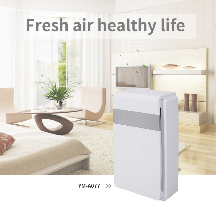 Home Appliance Air Duct Cleaning European Air Purifier