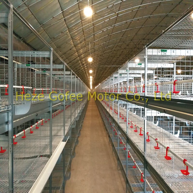 Best Selling Hot DIP H Type Chicken Cage