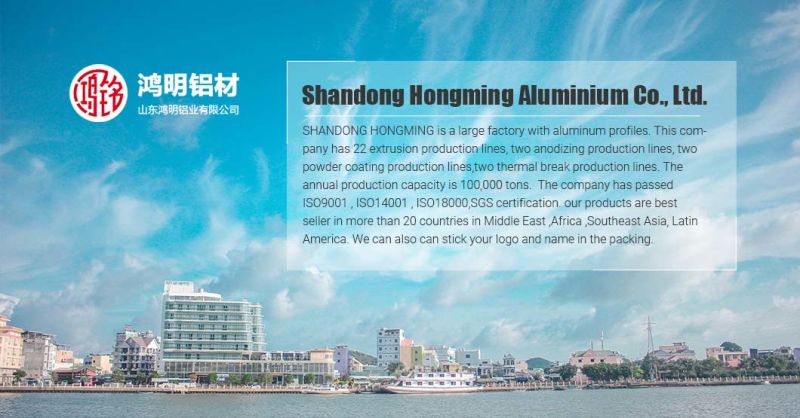 Zero Defect Anodizing Sand Blasting/Matte Silver Aluminium Profile for LED Light