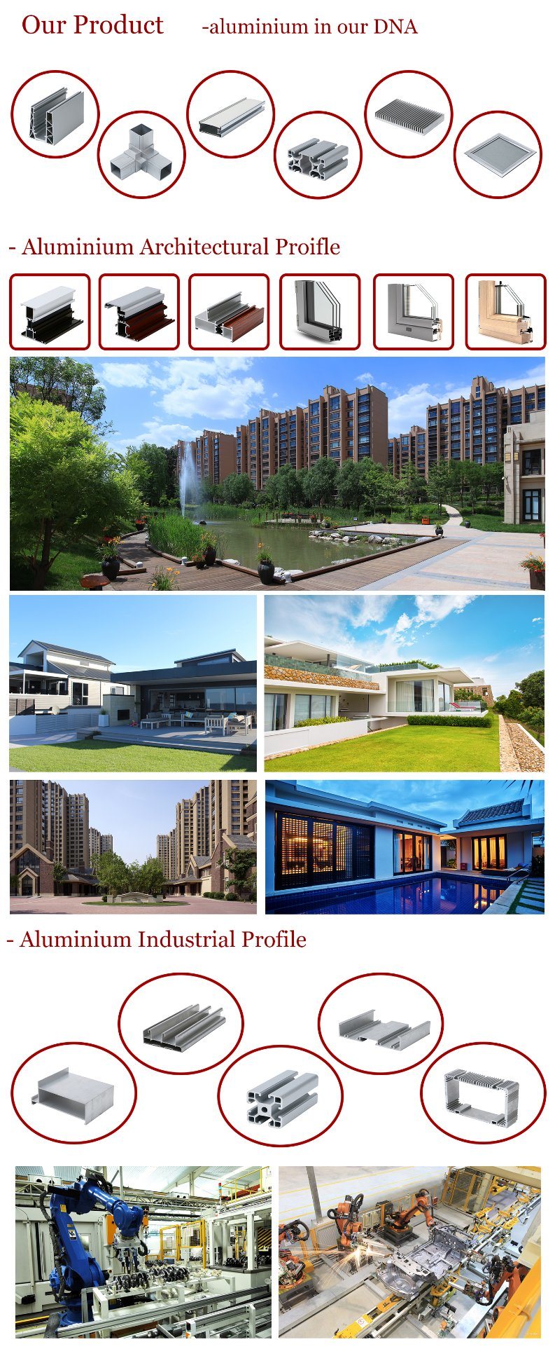 Aluminium/Aluminum Alloy Profile for Window/Door 6063