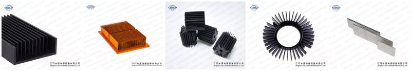 Customized 6000 Series Aluminium/Aluminum Extrusion for Radiator