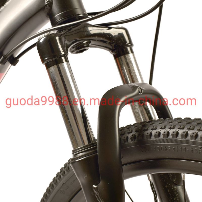 Custom 24 Inch Aluminum Alloy Frame MTB Mountain Bike