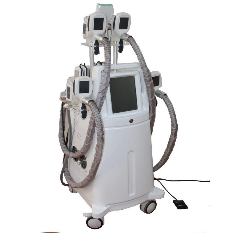 5s Handles Cryolipolysis Slimming Machine / Fat Freeze Cryolipolysis Machine / Cryo Fat Freezing Machine for Sale