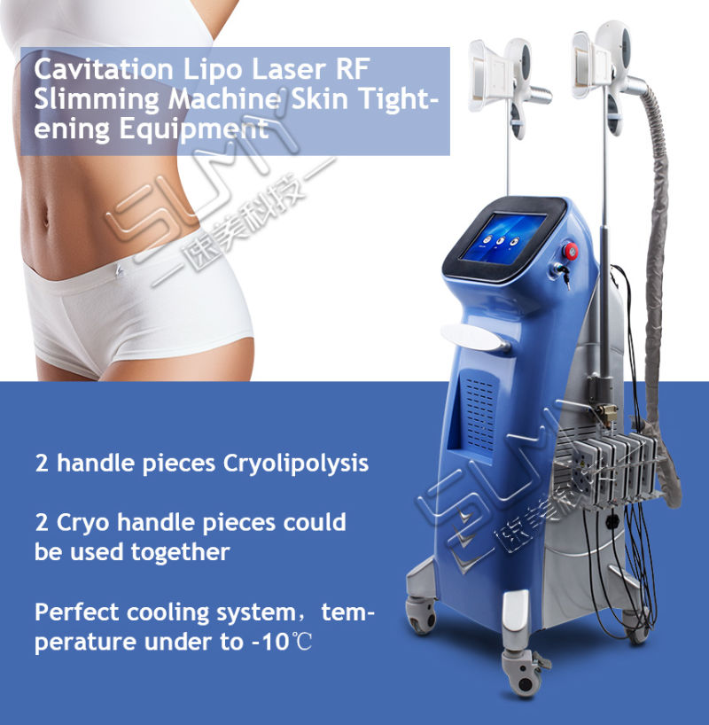 Two Handles Weight Loss Fat Freezing Slimming Cryolipolysis Beauty Equipment