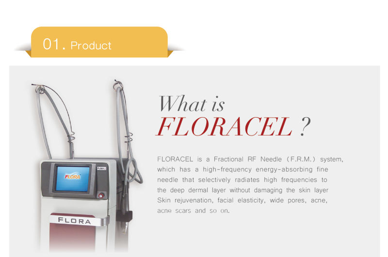 Fractional RF Microneedle Acne Removal / Facial Lifting Beauty Machine