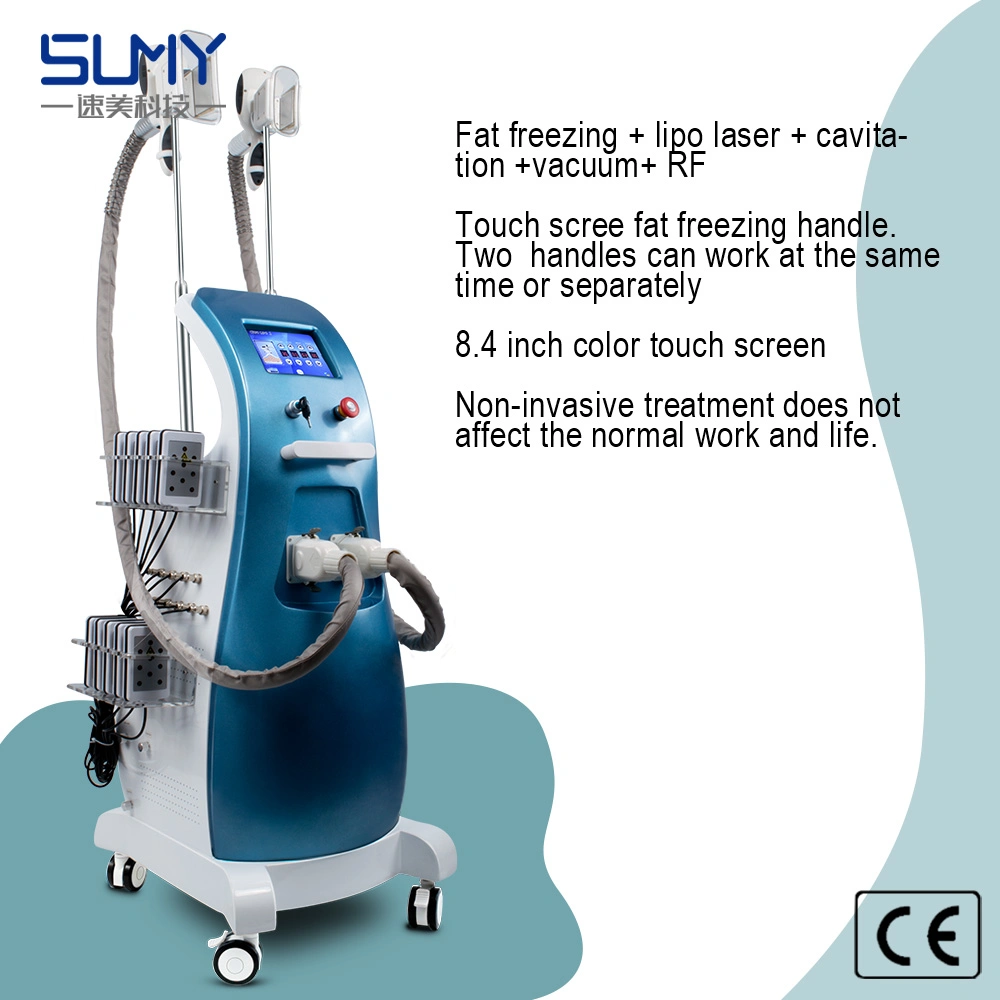Cryolipolysis Fat Freeze Weight Loss Fat Removal Vacuum Body Slimming Skin Care Beauty Machine