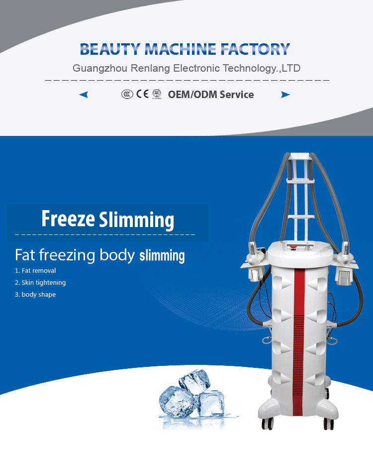 Renlang RF Cavitation Cryolipolysis Slimming Vertical Machine for Sale