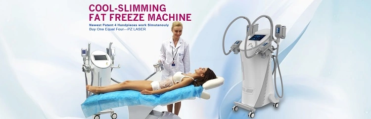 Ce Approved Portable Cryolipolysis Machine 4 Handles Fat Freeze Body Slimming Machine for Home Use