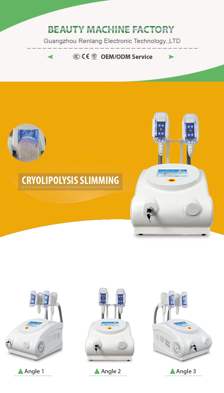 Two Cryo Handles Fat Freezing Cryolipolysis System Machine Portable Style