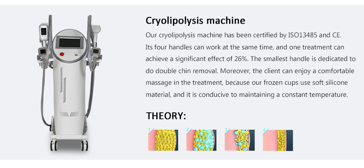 Cryolipolysis Slimming Machine Cryotherapy Facial Equipment Cryo Machine