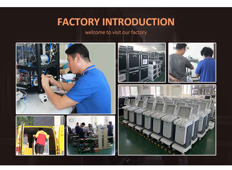 2021 Fractional RF Microneedle Machine Microneedle RF Machine/Secret Microneedle RF