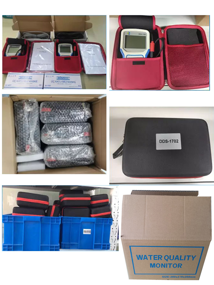 Phs-1701 Portable pH/ORP Analyzer/Detector Sensor pH Meter Instrument