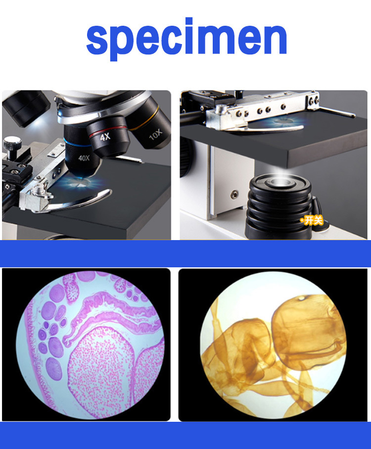 Tcsp-3ca Compound Monocular Microscope for Laboratory Instruments